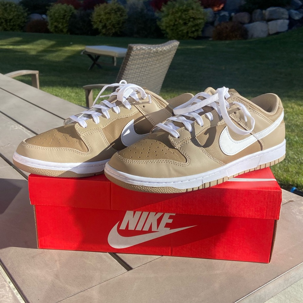 Nike Dunk Low Judge Grey, Men's size 10